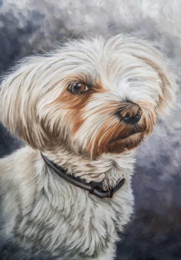 "Ellie", Petportrait