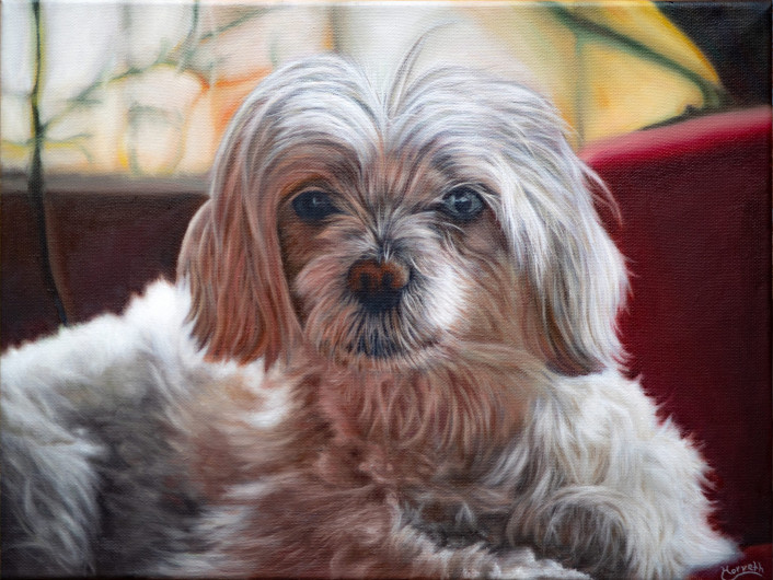 "Chili", Petportrait