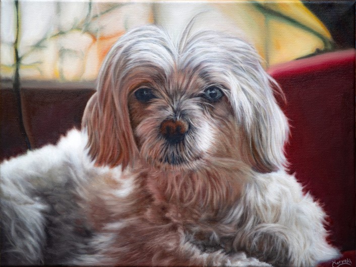 "Chili", Petportrait